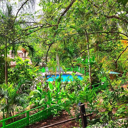 Maya Mountain Lodge San Ignacio Zewnętrze zdjęcie