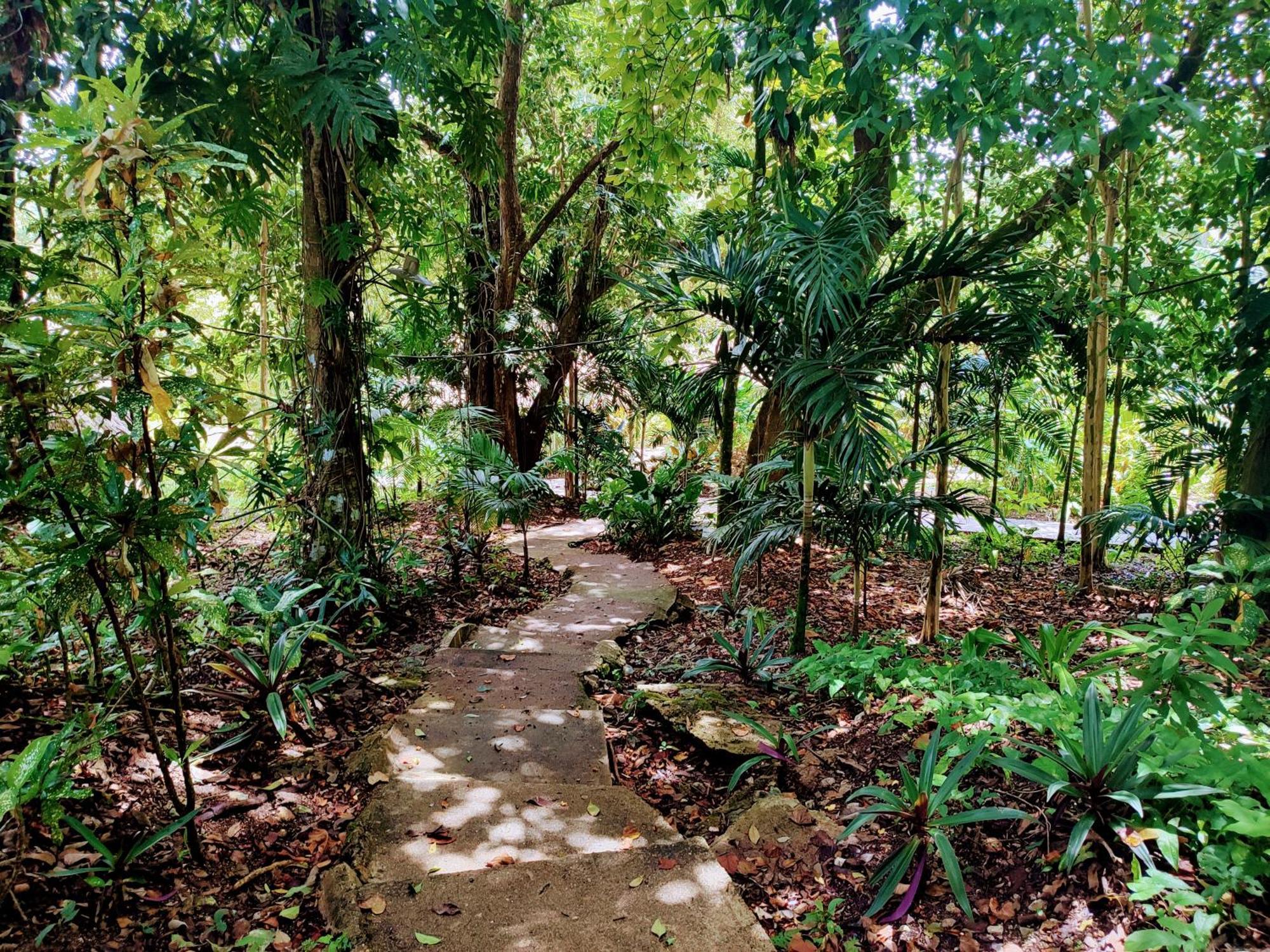 Maya Mountain Lodge San Ignacio Zewnętrze zdjęcie