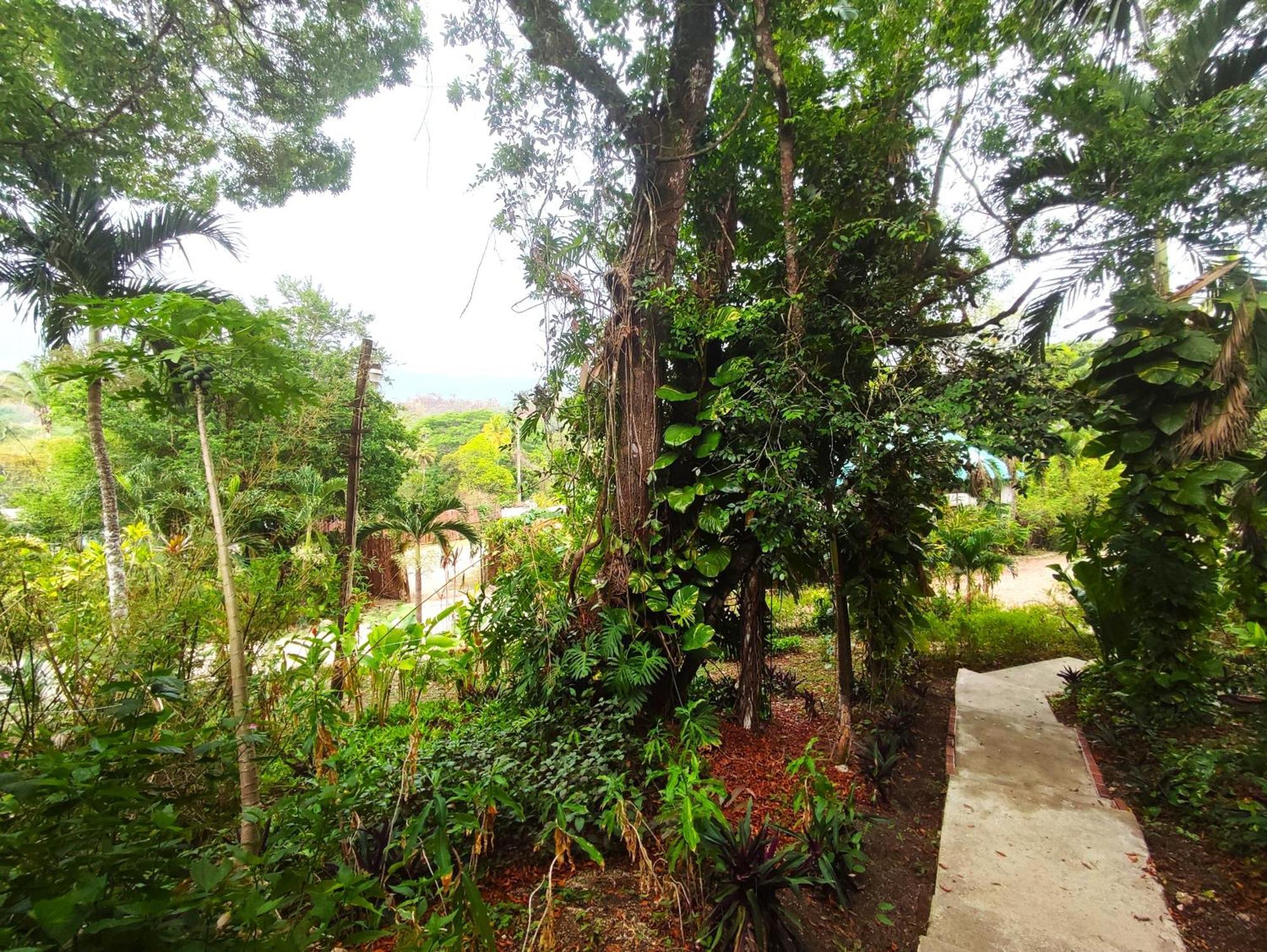 Maya Mountain Lodge San Ignacio Zewnętrze zdjęcie