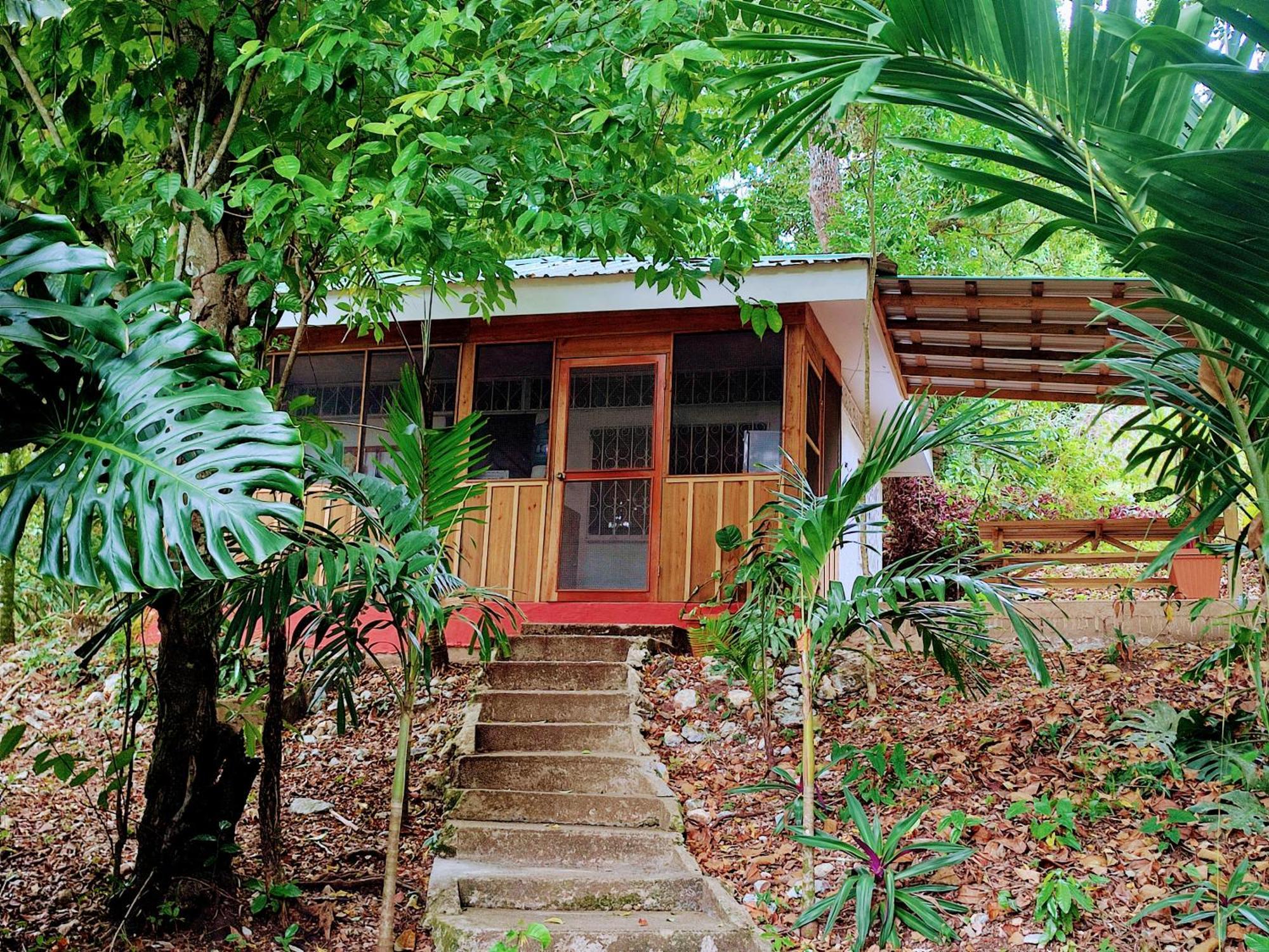 Maya Mountain Lodge San Ignacio Zewnętrze zdjęcie