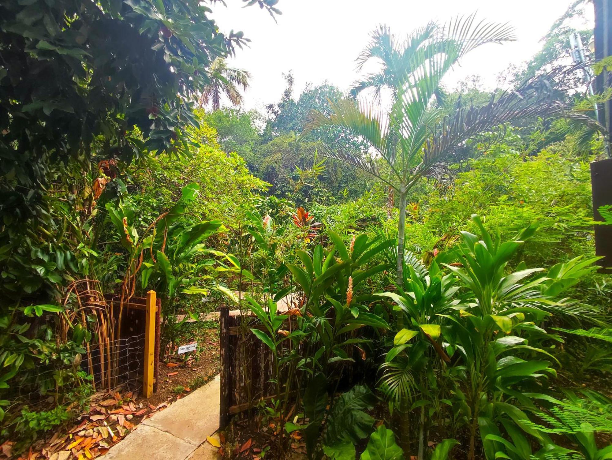 Maya Mountain Lodge San Ignacio Zewnętrze zdjęcie