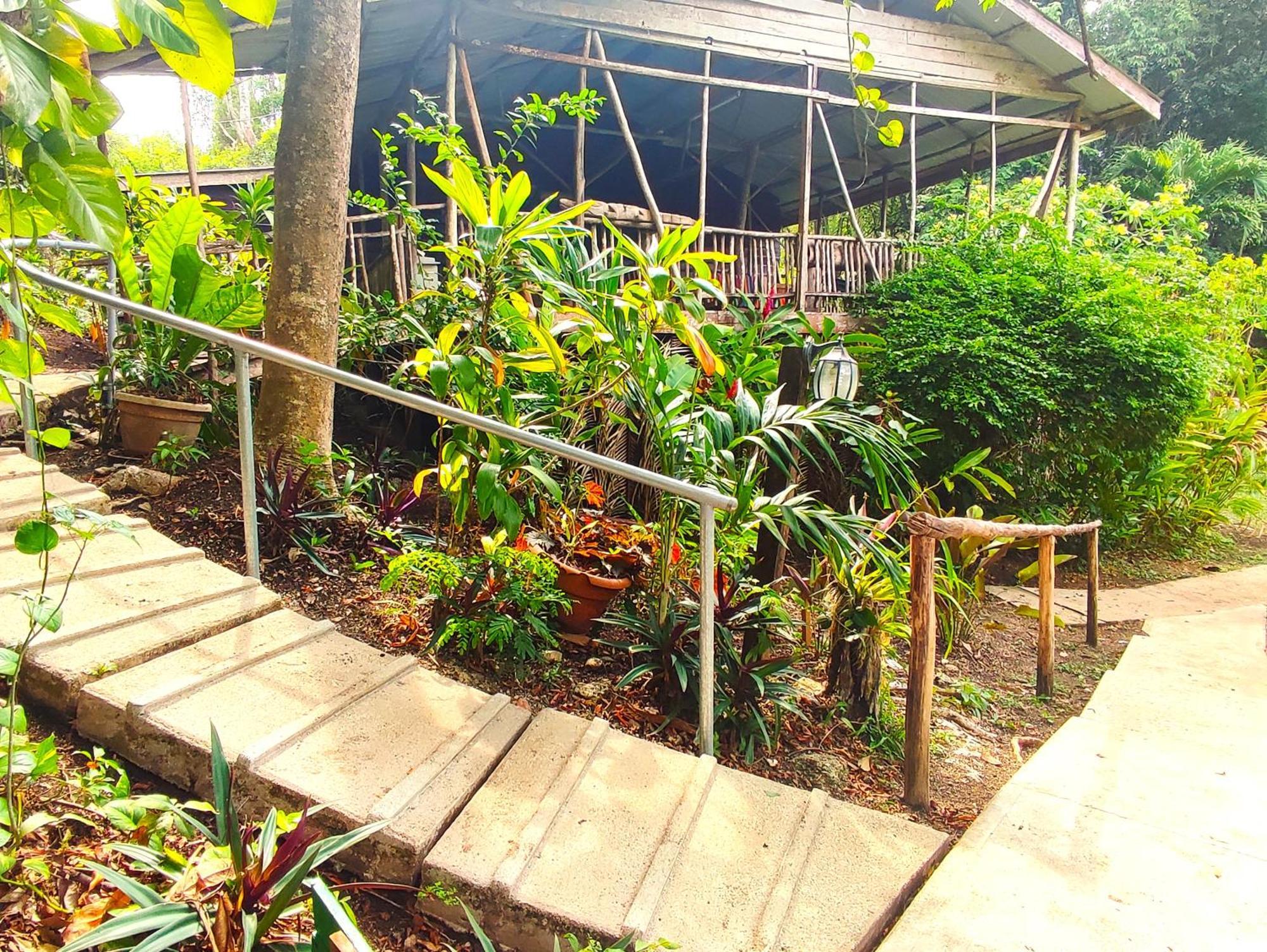 Maya Mountain Lodge San Ignacio Zewnętrze zdjęcie