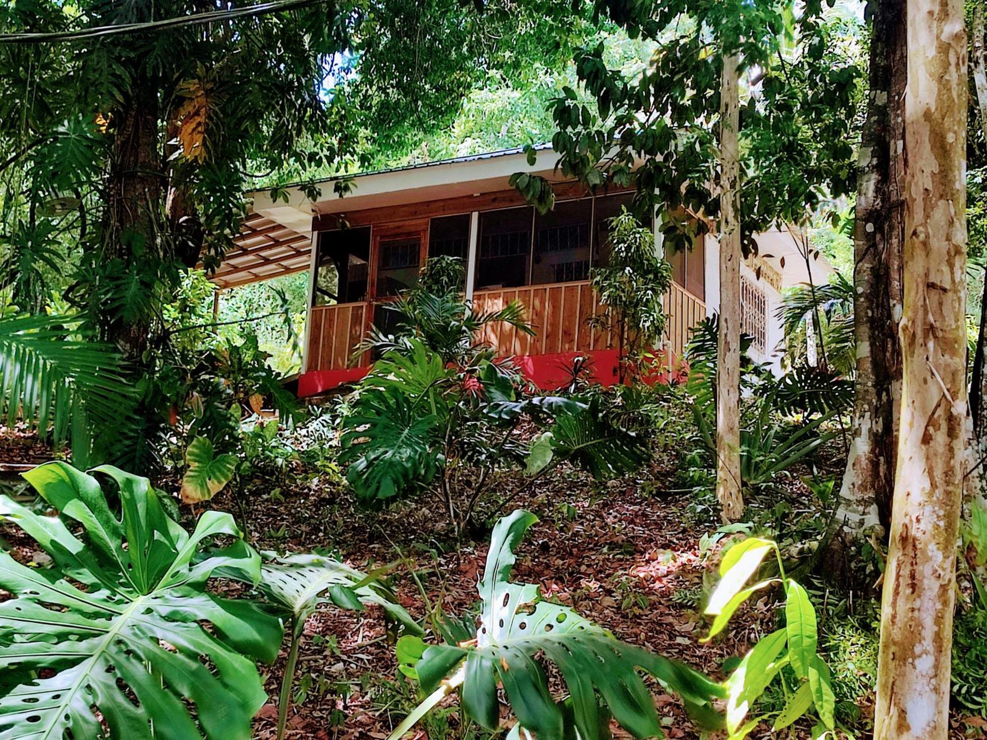 Maya Mountain Lodge San Ignacio Zewnętrze zdjęcie