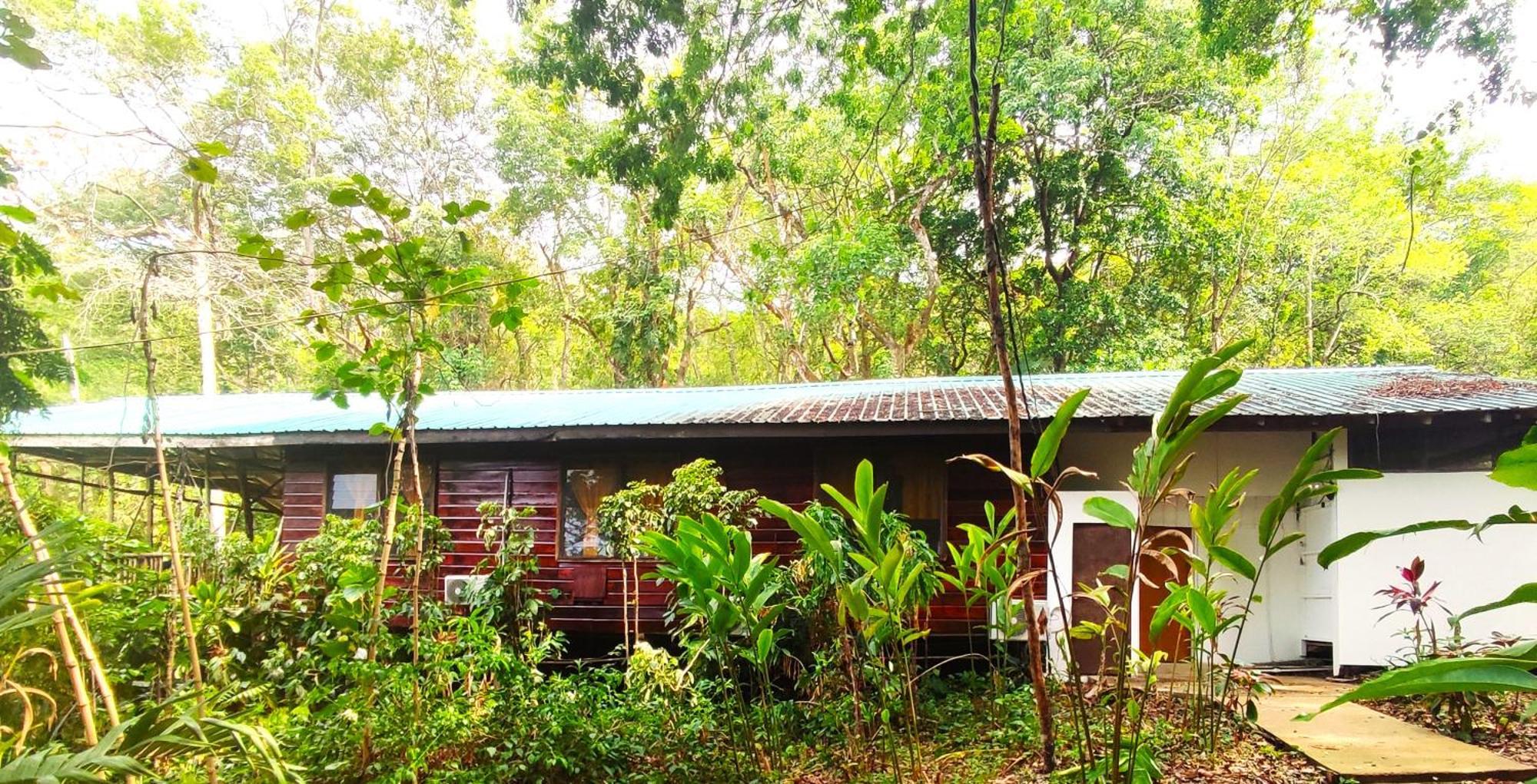 Maya Mountain Lodge San Ignacio Zewnętrze zdjęcie