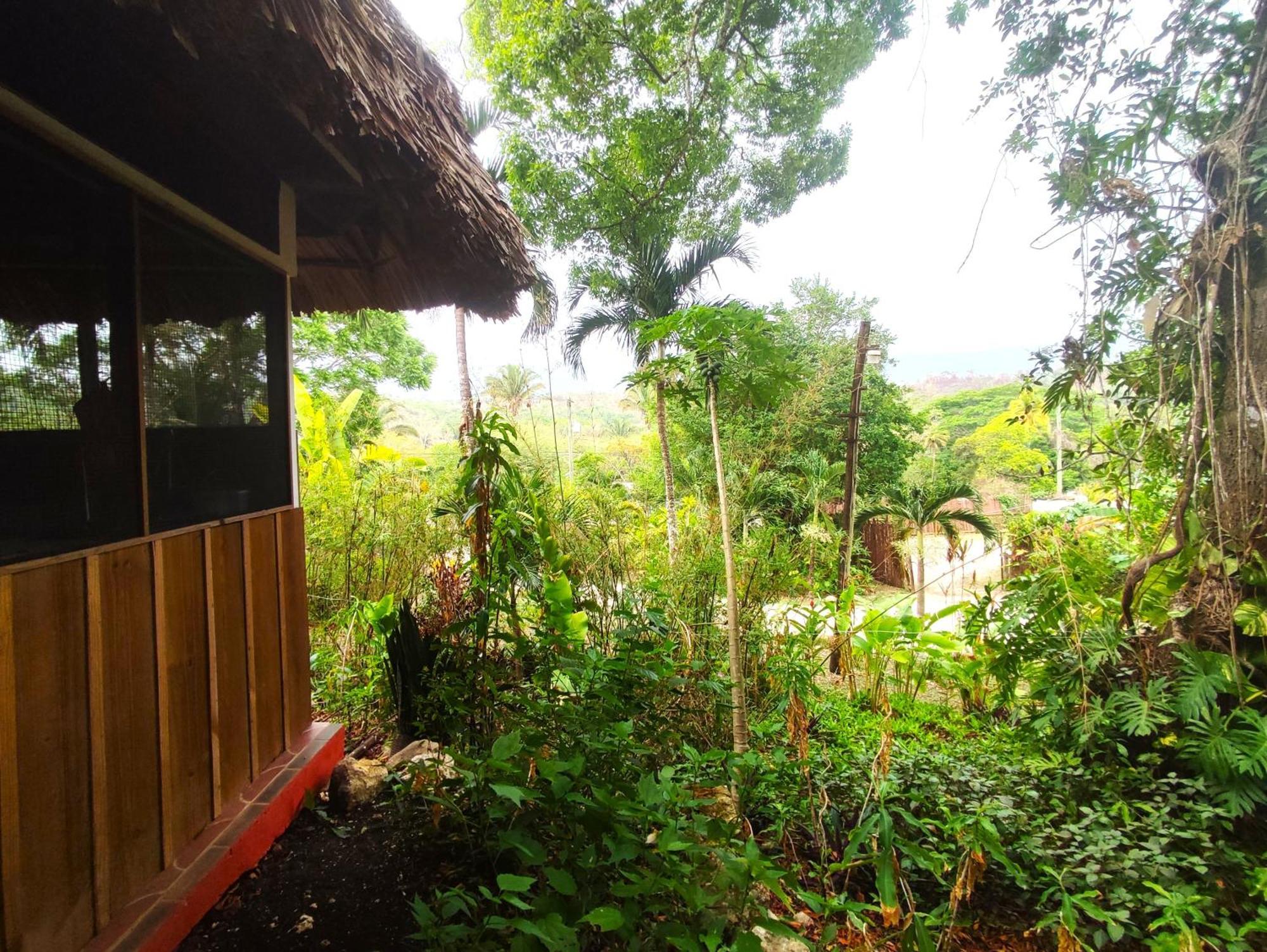 Maya Mountain Lodge San Ignacio Zewnętrze zdjęcie