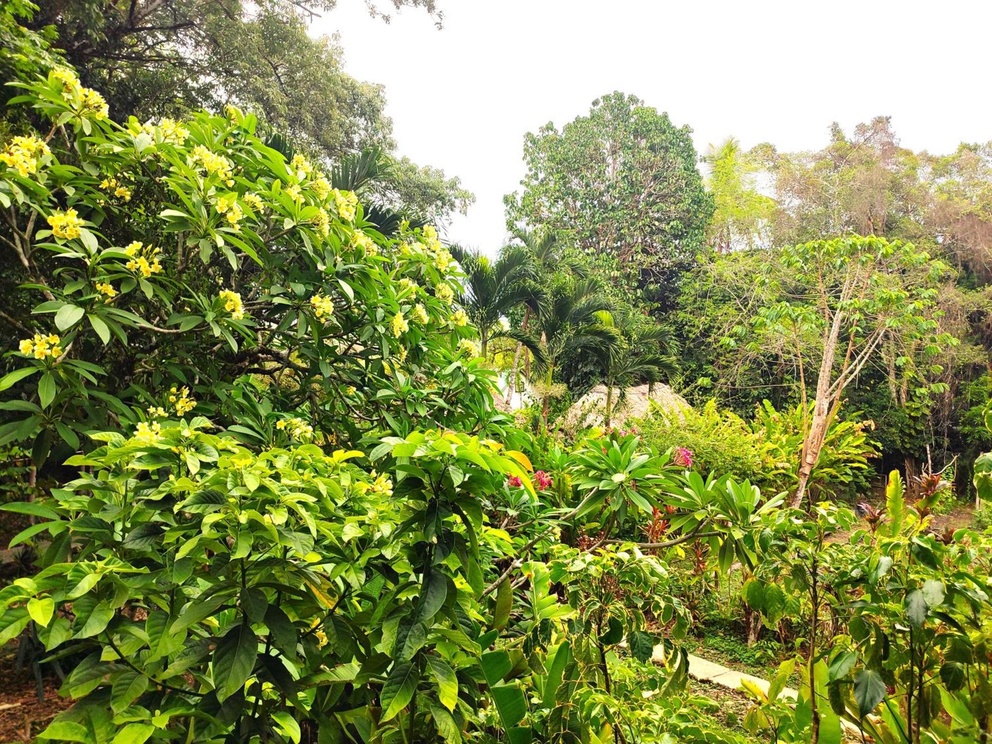 Maya Mountain Lodge San Ignacio Zewnętrze zdjęcie
