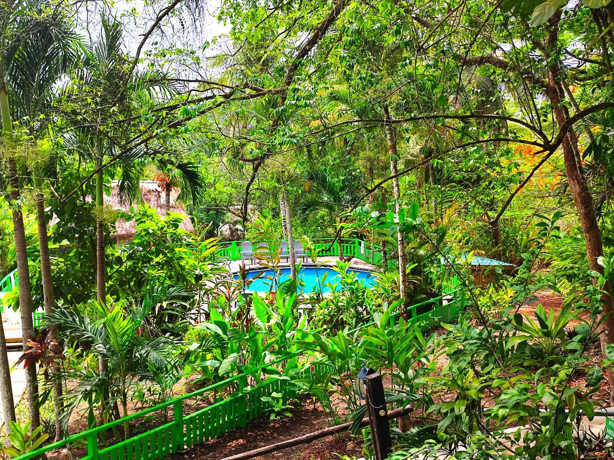 Maya Mountain Lodge San Ignacio Zewnętrze zdjęcie