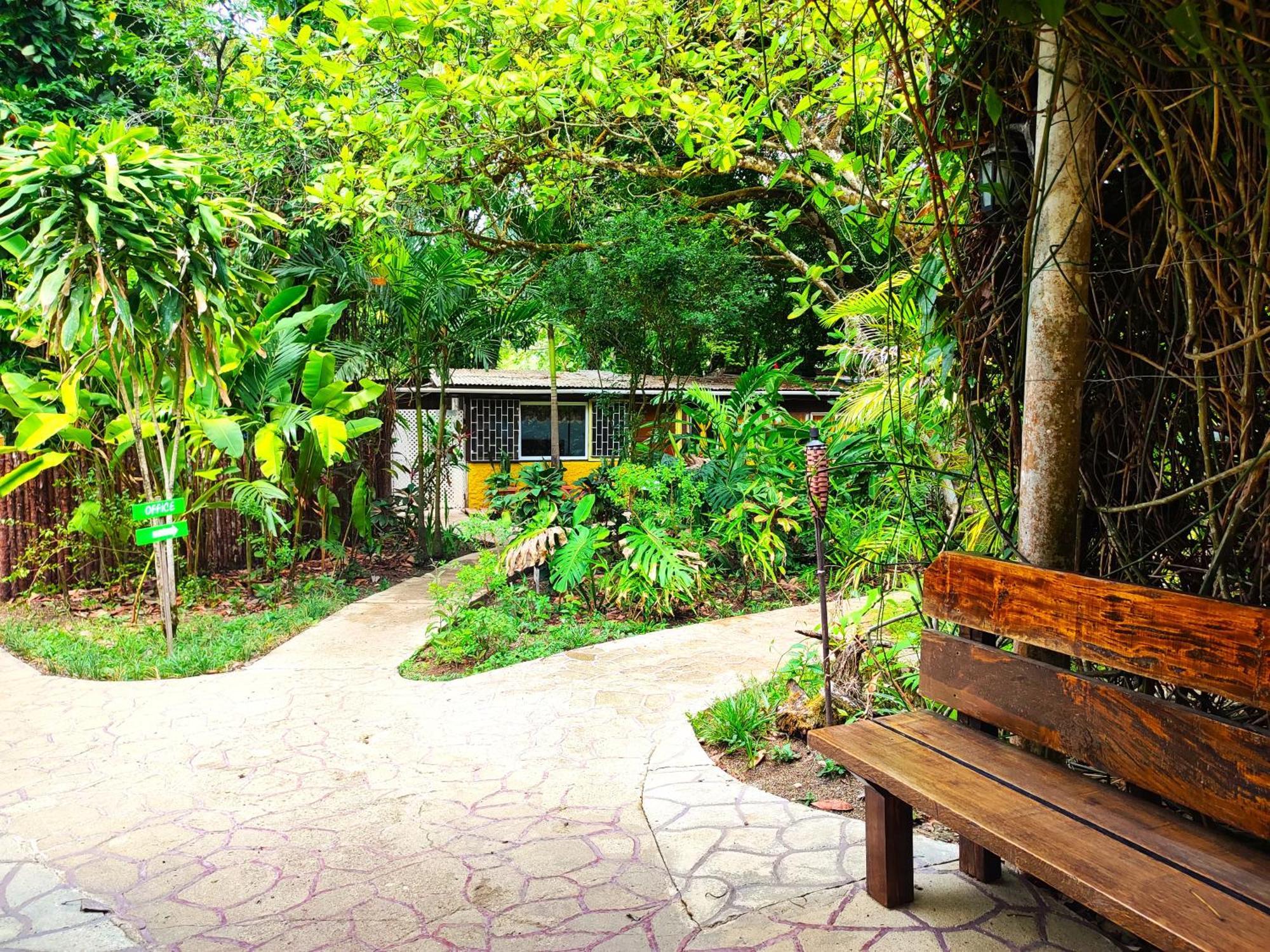 Maya Mountain Lodge San Ignacio Zewnętrze zdjęcie