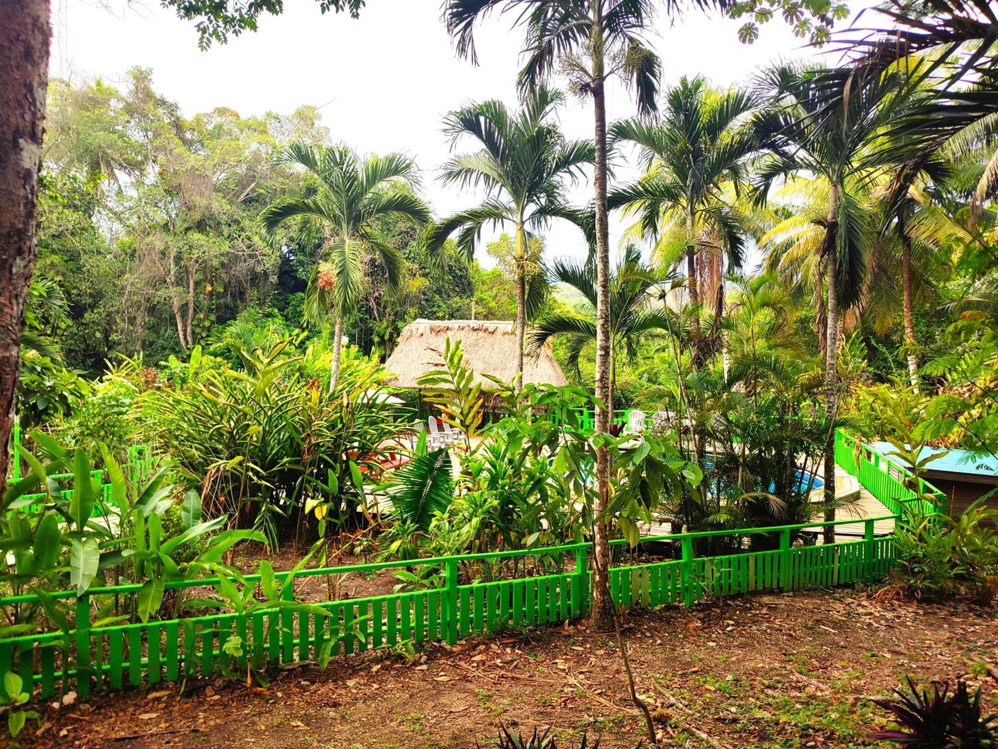 Maya Mountain Lodge San Ignacio Zewnętrze zdjęcie