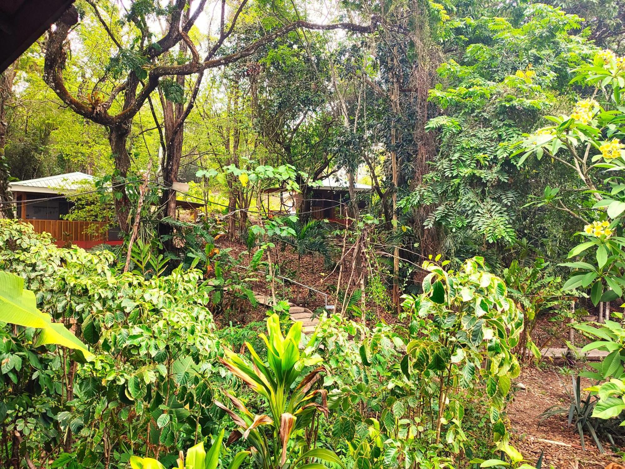 Maya Mountain Lodge San Ignacio Zewnętrze zdjęcie