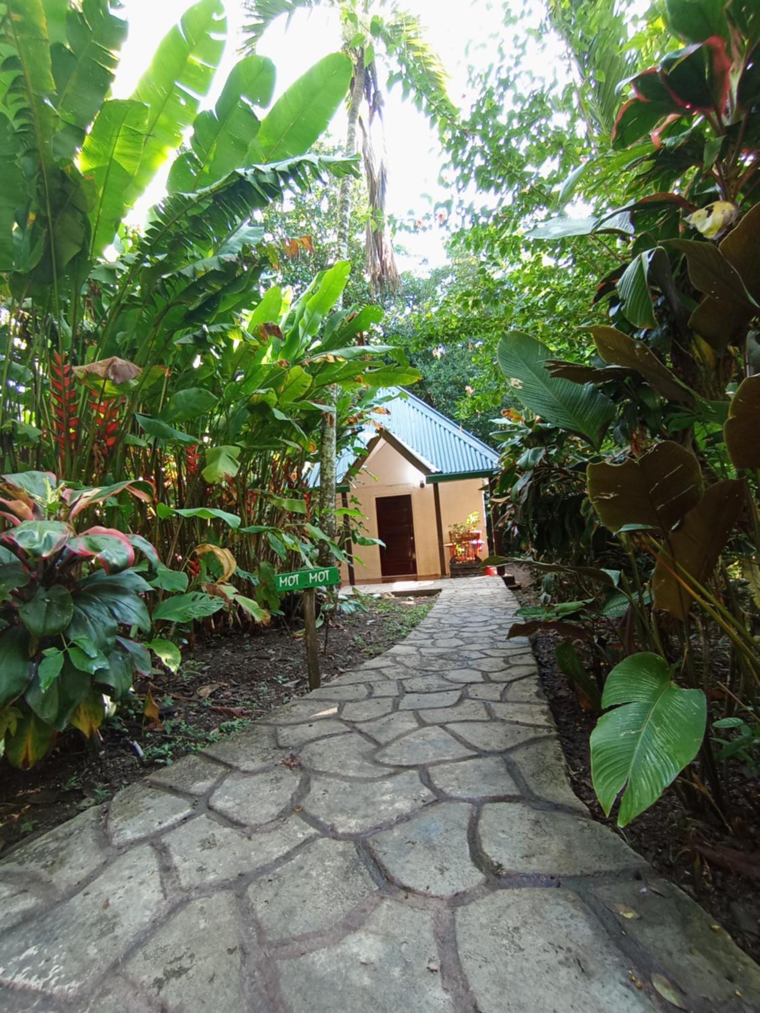 Maya Mountain Lodge San Ignacio Zewnętrze zdjęcie